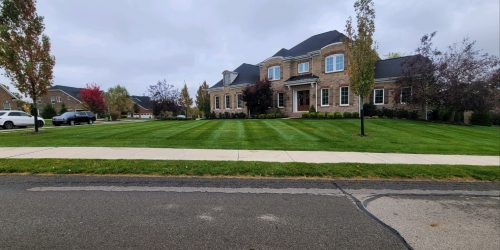 Lawn Mowing, Grass Cutting, Weekly Lawn Service